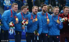 开云体育官方网站-瑞典队完胜韩国队，奥恰洛夫带队取胜