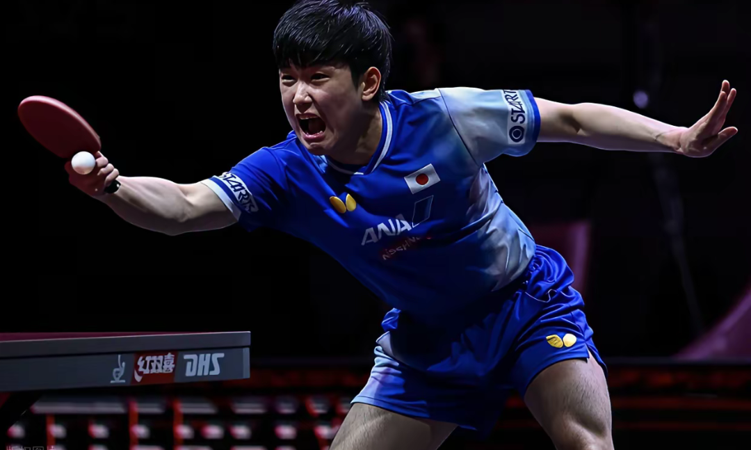法国队横扫奥地利队，张本智和高光表现的简单介绍