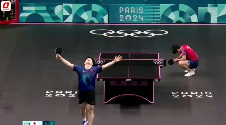 法国队横扫奥地利队，张本智和高光表现的简单介绍