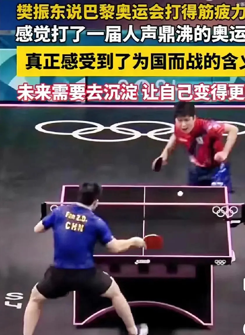 法国队完胜日本队，张本智和带队取胜