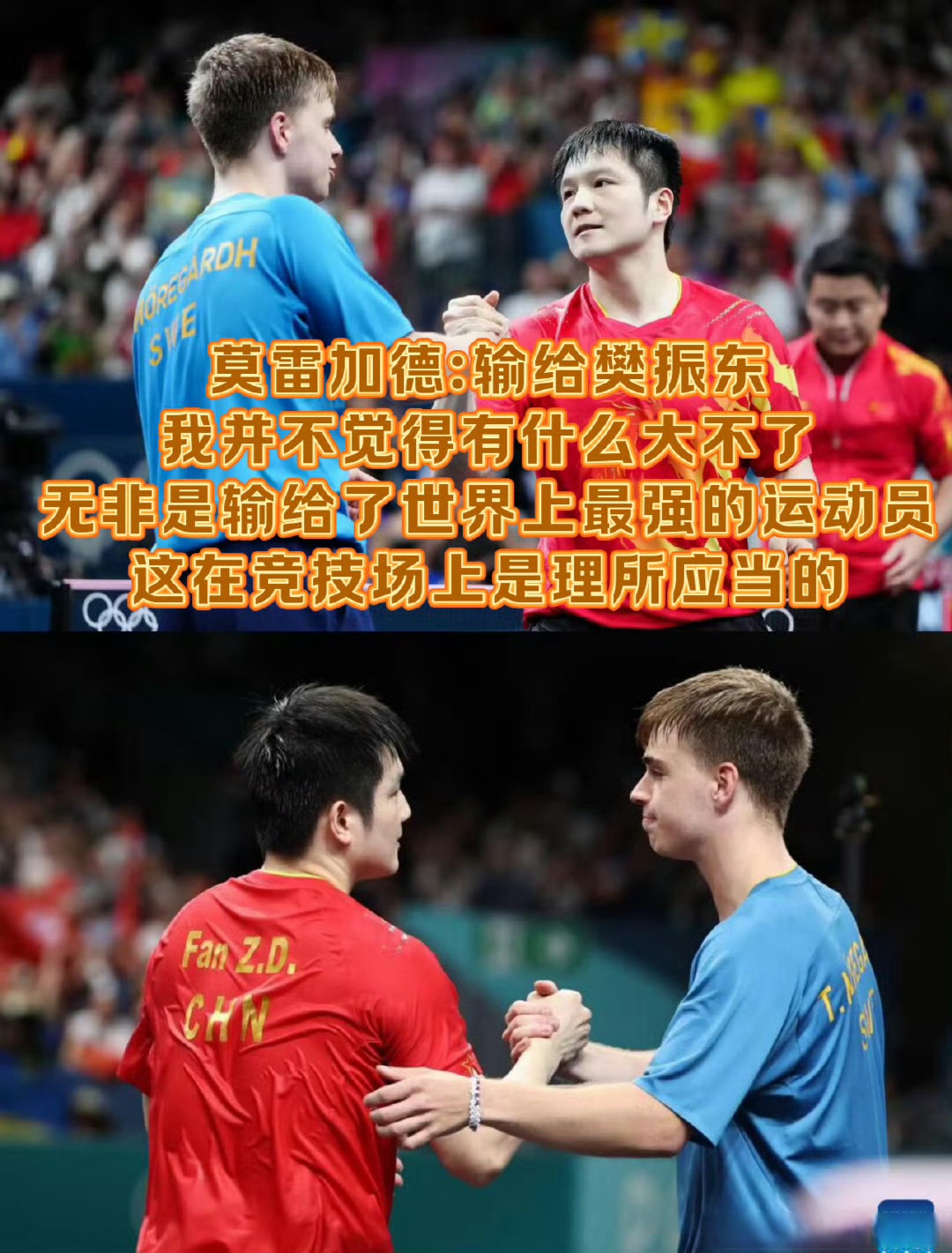 法国乒乓球队碾压比利时乒乓球队，樊振东绝境逆转的简单介绍