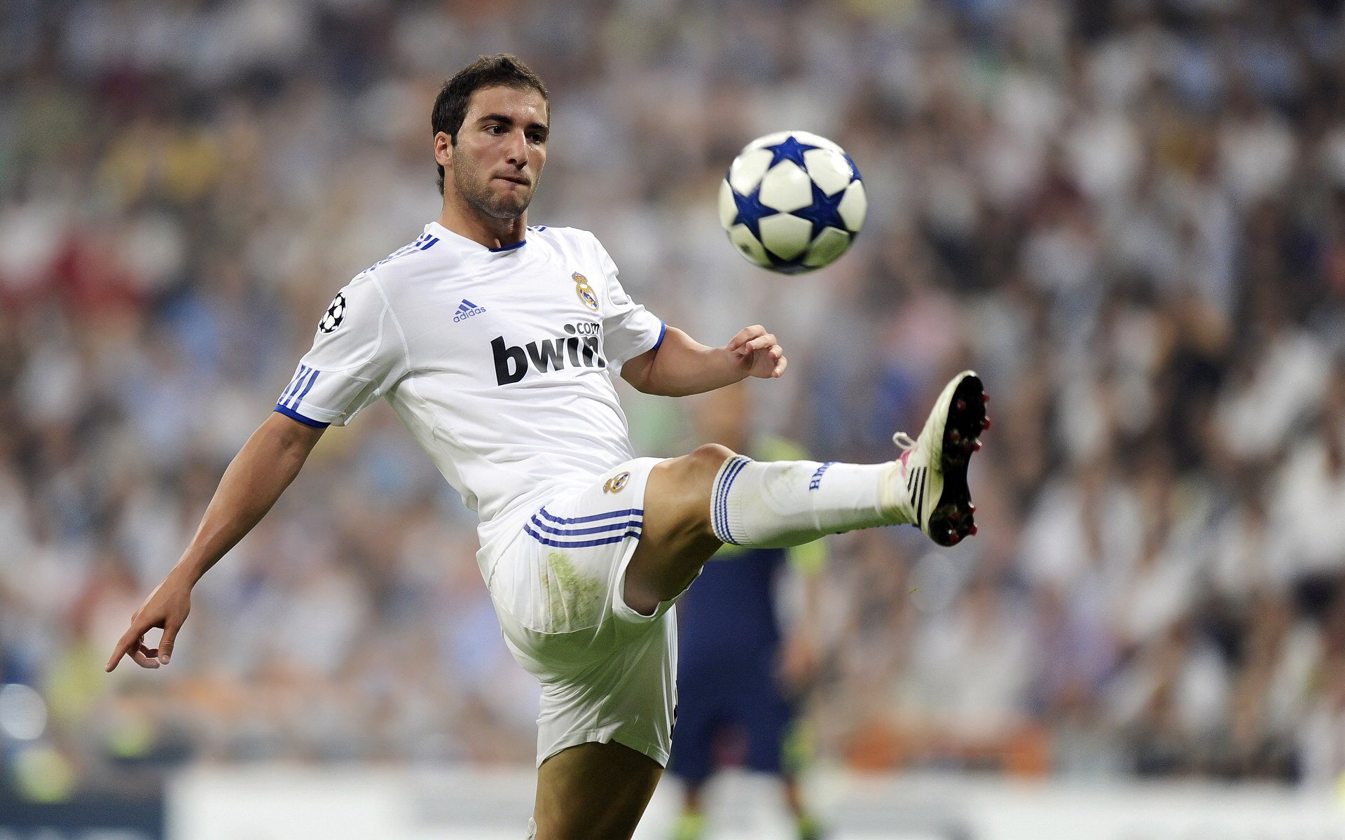 塔图姆一剑封喉，篮网压哨绝杀深圳队背后的巨星价值