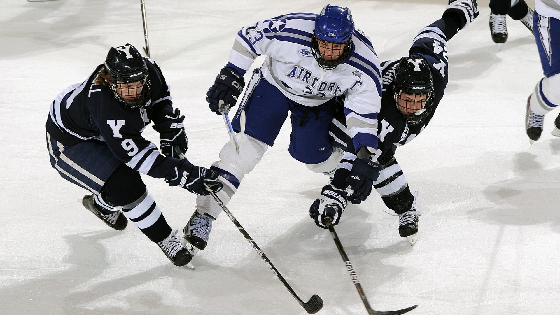 鹈鹕战术启示录，当封锁成为艺术，福克斯的赛道智慧如何跨界制胜